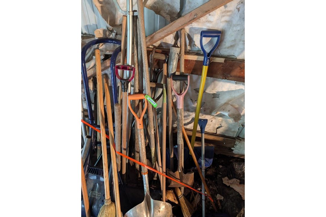 (30+/-) Shovels, Brooms, & Other Stick Tools - Image 4 of 5