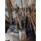 (30+/-) Shovels, Brooms, & Other Stick Tools - Image 2 of 5