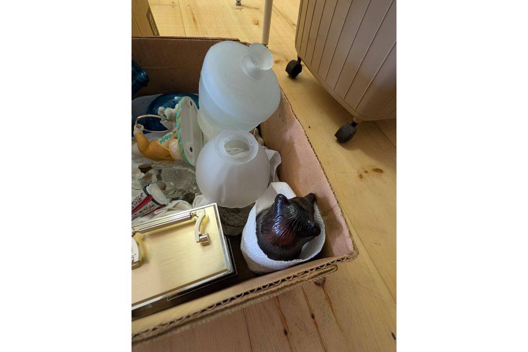 Remaining Contents of Upstairs Closet - Image 11 of 14