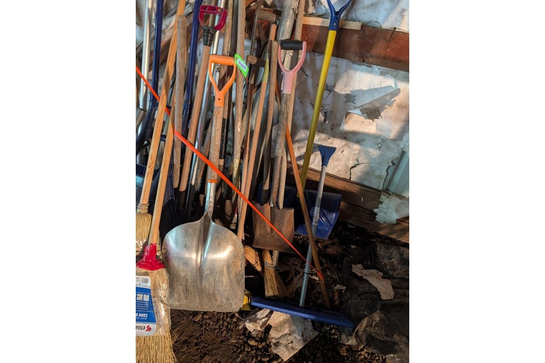 (30+/-) Shovels, Brooms, & Other Stick Tools - Image 3 of 5