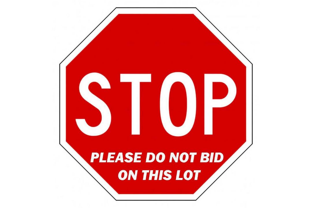 IMPORTANT TERMS: PLEASE READ BEFORE BIDDING!