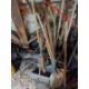 (30+/-) Shovels, Brooms, & Other Stick Tools - Image 5 of 5