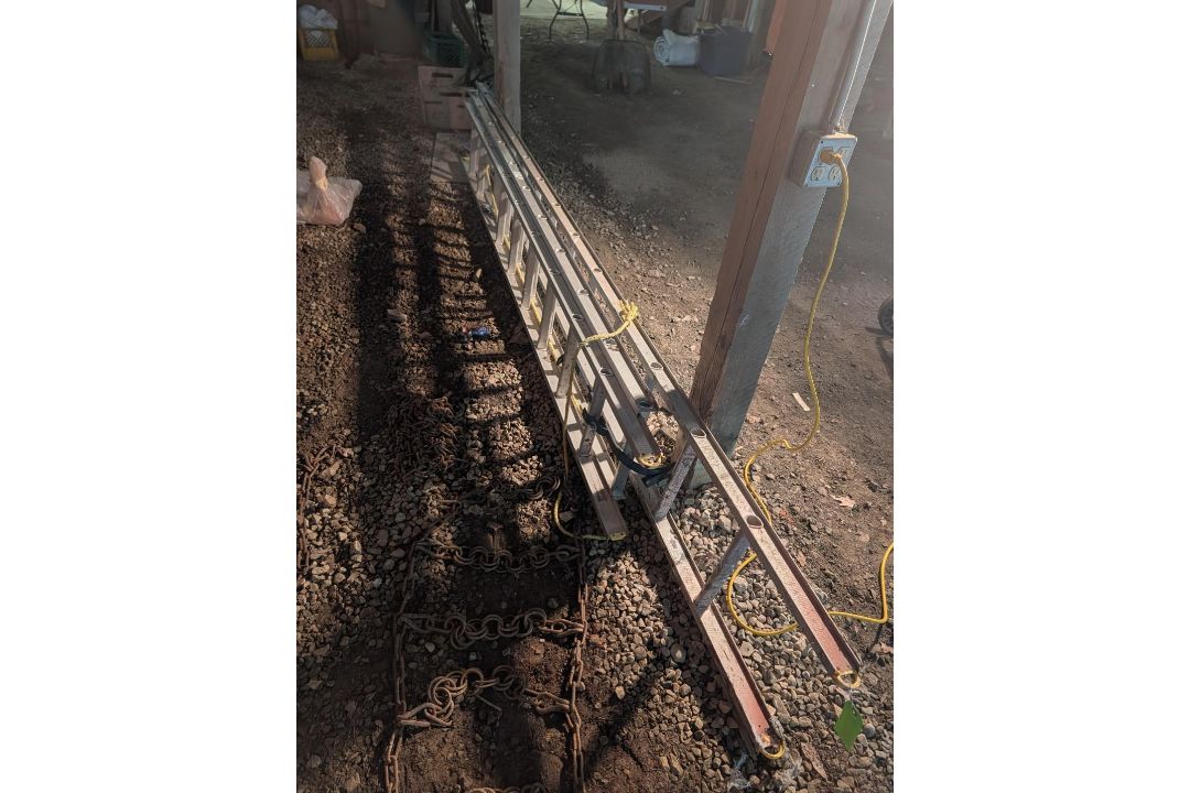 (3) Sections of Extension Ladder - Image 2 of 2