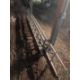 (3) Sections of Extension Ladder - Image 2 of 2