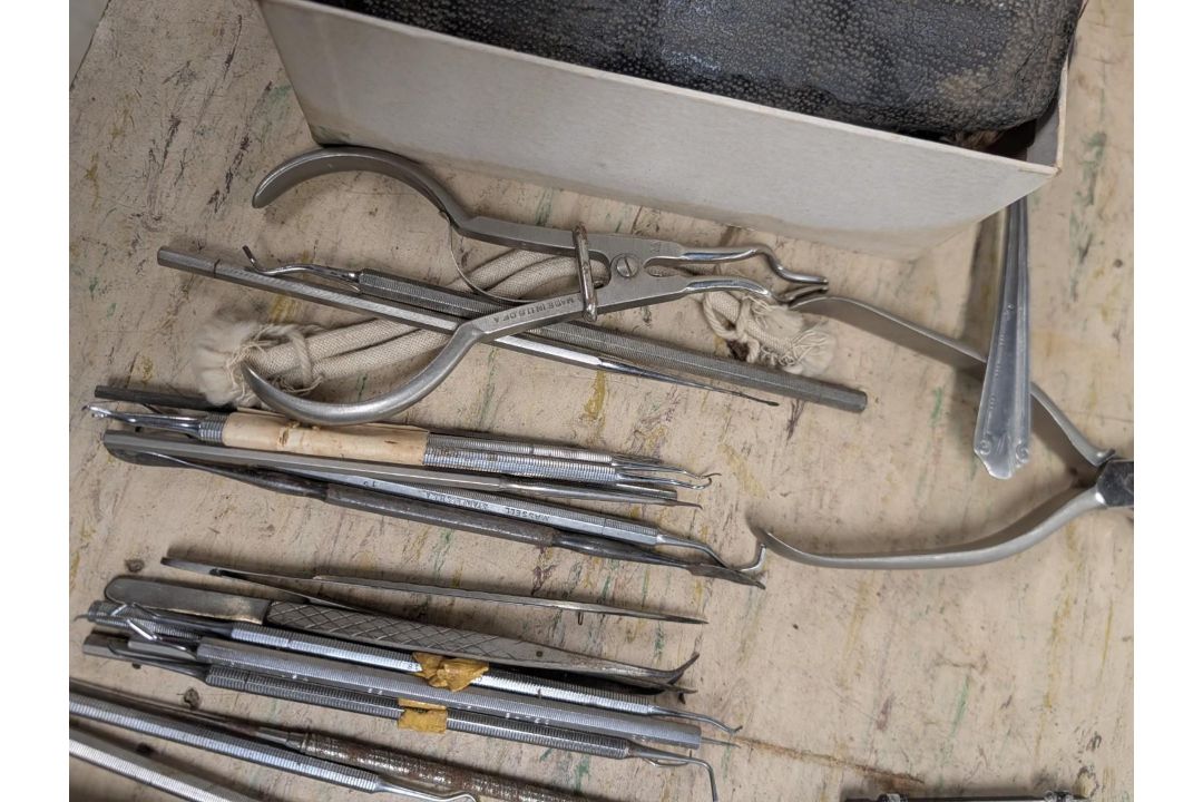Assorted Dental Picks - Image 4 of 10