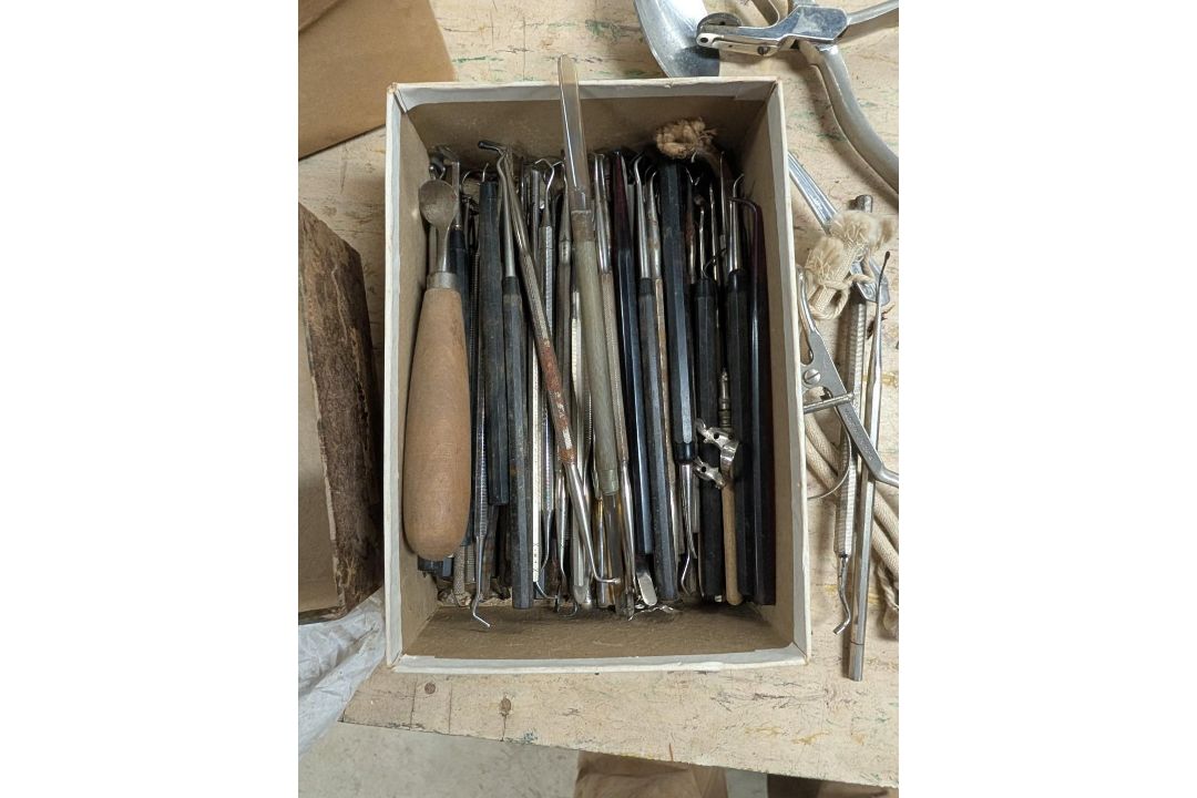 Assorted Dental Picks - Image 6 of 10