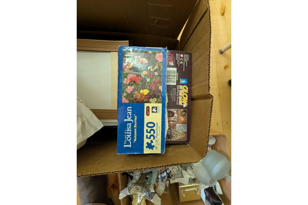 Remaining Contents of Upstairs Closet - Image 13 of 14