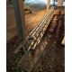 (3) Sections of Extension Ladder - Image 1 of 2