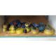 (8+/-) Assorted Size Ratchet Straps and Box of Bungee Cords - Image 1 of 8