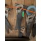 (20+/-) Vintage Carpenter's Hand Saws and Parts - Image 3 of 4
