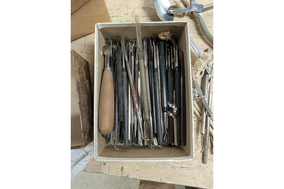 Assorted Dental Picks - Image 5 of 10