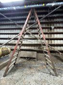 Werner 14-Step Ladder