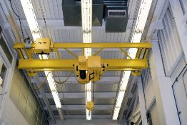 Black Bear 5-Ton Capacity Single Girder Underhung Overhead Bridge Crane