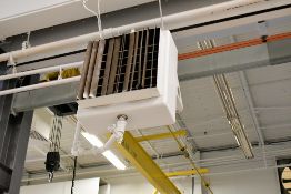 Lot - (3) Young Hanging Hydronic Heaters (Located at Columns C-08, A-09 and A-11)