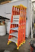 Lot - (4) Werner Model PD6204 300-lb. Capacity 4' Fiberglass Step Ladders (Located in Bldg 2)