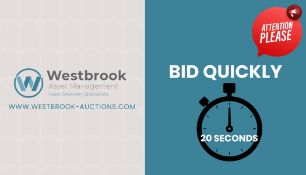 BID QUICKLY, LOTS WILL BE ENDING EVERY 20 SECONDS AT THIS AUCTION