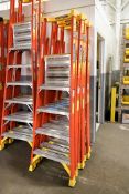 Lot - (4) Werner Model PD6204 300-lb. Capacity 4' Fiberglass Step Ladders (Located in Bldg 2)
