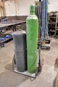 Torch Cart with Oxygen/Acetylene Hose, (2) Regulators and Torch (Tanks Not Included)