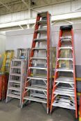 National 10' Fiberglass Step Ladder with Werner 10' Aluminum Step Ladder (Located in Bldg 2)