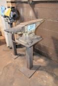 Anvil with Steel Stand
