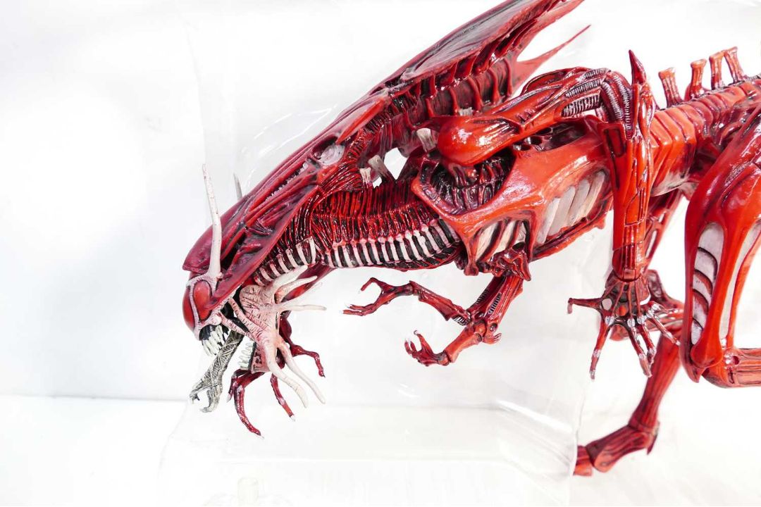 Alien 197 NECA - Aliens A boxed NECA 'Aliens Genocide' Red Queen Mother Deluxe ...