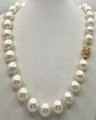 A Gorgeous South Sea Pearl Necklace with a Decorative 18K Gold and Diamond Encrusted Clasp. 12/