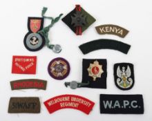 Interesting Assortment of Sealed Patterns Cap Badges, Cloth Shoulder Titles to International