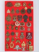 Collection of World Military Cap & Collar Badges.