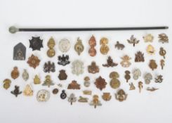 Large Lot of Mainly Reproduction British Military Badges & a Swagger Stick.