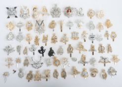 Huge Collection of British Military Anodised Cap Badges. Examples included within are The Royal Scot