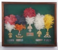 The Royal Regiment of Fusiliers Framed Badges & Hackles.