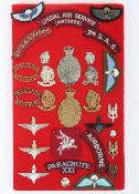 Special Air Service & Artists Rifles Insignia