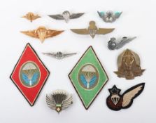 Grouping of Paratrooper Wings and Insignia of Various Nations
