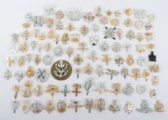 Large Collection of Anodised British Military Cap Badges