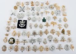 Large Collection of Anodised British Military Cap Badges