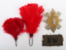 Good Assortment of Badges & Hackles to the Black Watch (The Royal Highland Regiment).