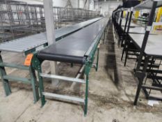 Ashland Motorized Belt Conveyor (subject to entirety bid lot 160A)