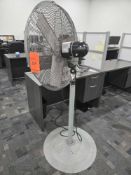 TPI Pedestal Fan