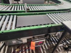 TGW Belt Conveyor (subject to entirety bid lot 160A)