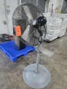 TPI Pedestal Fan