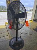 Pedestal Fan