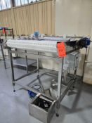 Infeed/Outfeed Stainless Steel White Conveyor