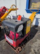 Dynamic Reversible Plate Compactor