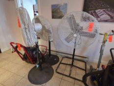 Asst. Pedestal Fans