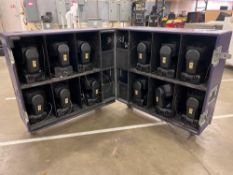 Martin Lighting Rush MH 2 Moving Head Wash Lights
