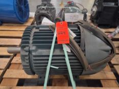 Baldor Reliance Motor