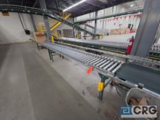20 ft. x 2 ft. Gravity Conveyor