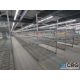 Pallet Racking - Image 2 of 9