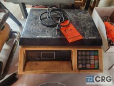 Mettler Toledo digital counting scale