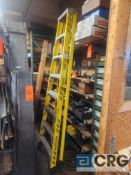 Werner 8 ft fiberglass step ladder